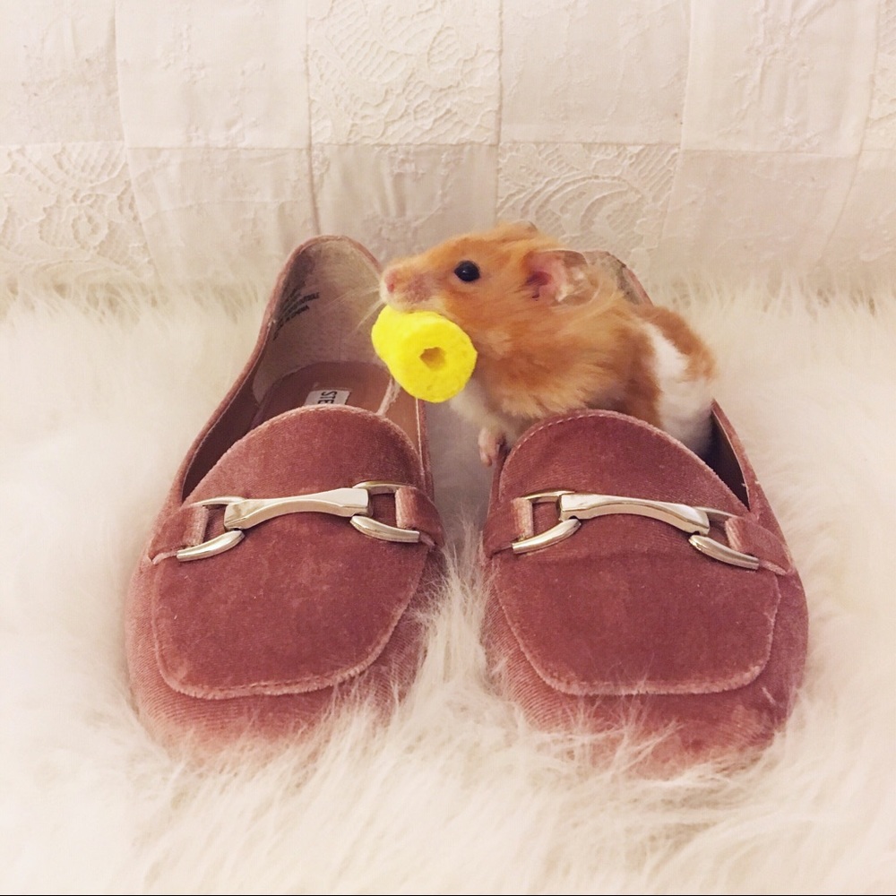 NOT FOR SAŁE Designer Shoe Warehouse